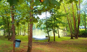 Riverside Campsites at Soaring Eagle Campgrounds